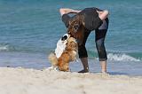 ADULTE ET CHIEN 589